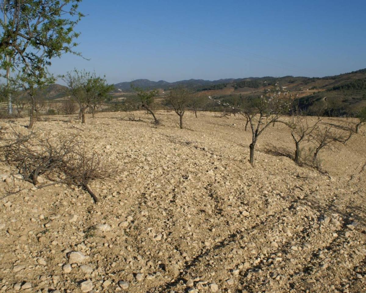 Land in Alicante, Spanien Nr. 183933