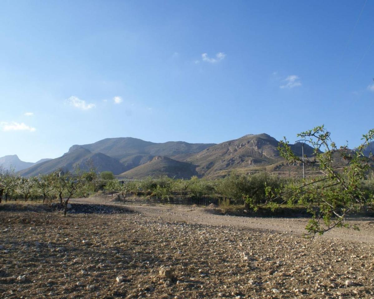 Land in Alicante, Spanien Nr. 183933