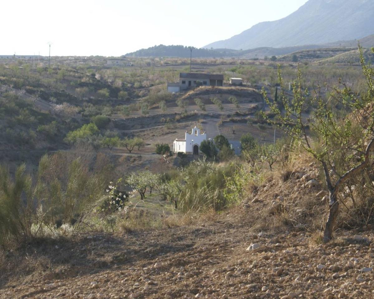 Land in Alicante, Spanien Nr. 183933