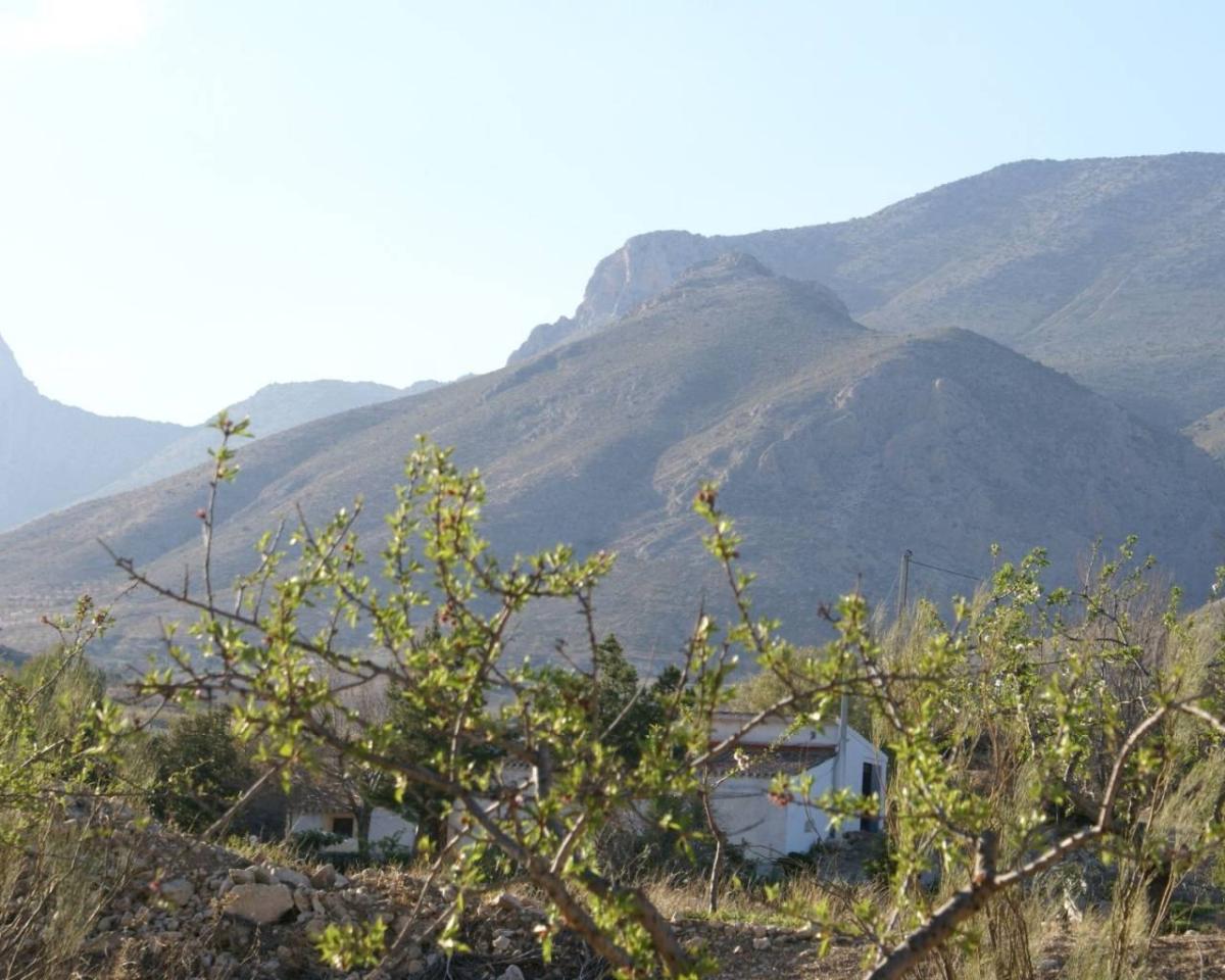Land in Alicante, Spanien Nr. 183933