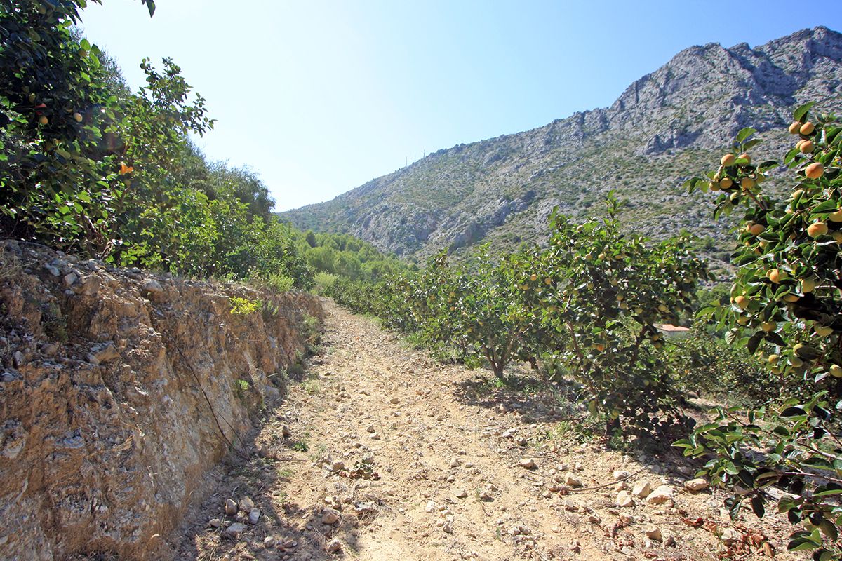 Działka w Beniarbeig, Alicante, Hiszpania nr 183932