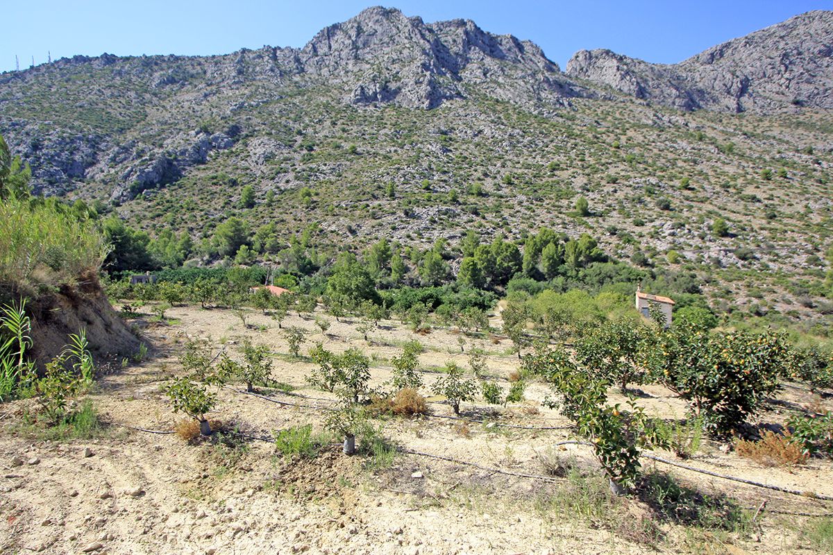 Działka w Beniarbeig, Alicante, Hiszpania nr 183932