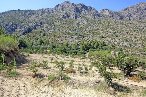 Zemes gabals Beniarbeig, Alicante, Spānijā Nr. 183932
