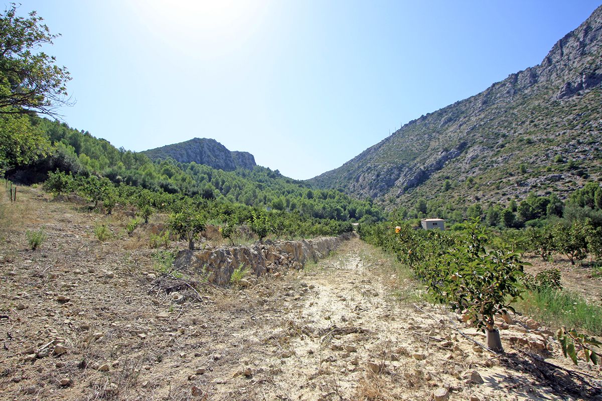 Działka w Beniarbeig, Alicante, Hiszpania nr 183932