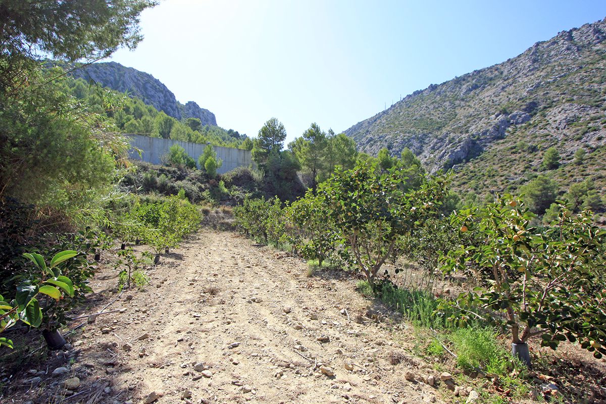 Działka w Beniarbeig, Alicante, Hiszpania nr 183932