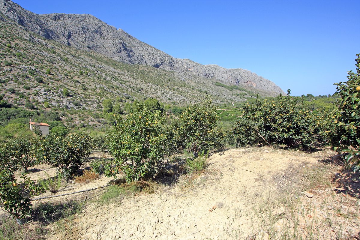 Działka w Beniarbeig, Alicante, Hiszpania nr 183932