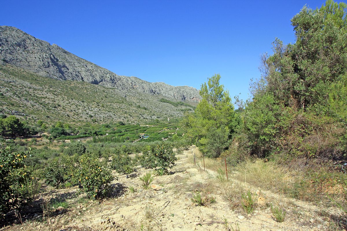 Działka w Beniarbeig, Alicante, Hiszpania nr 183932
