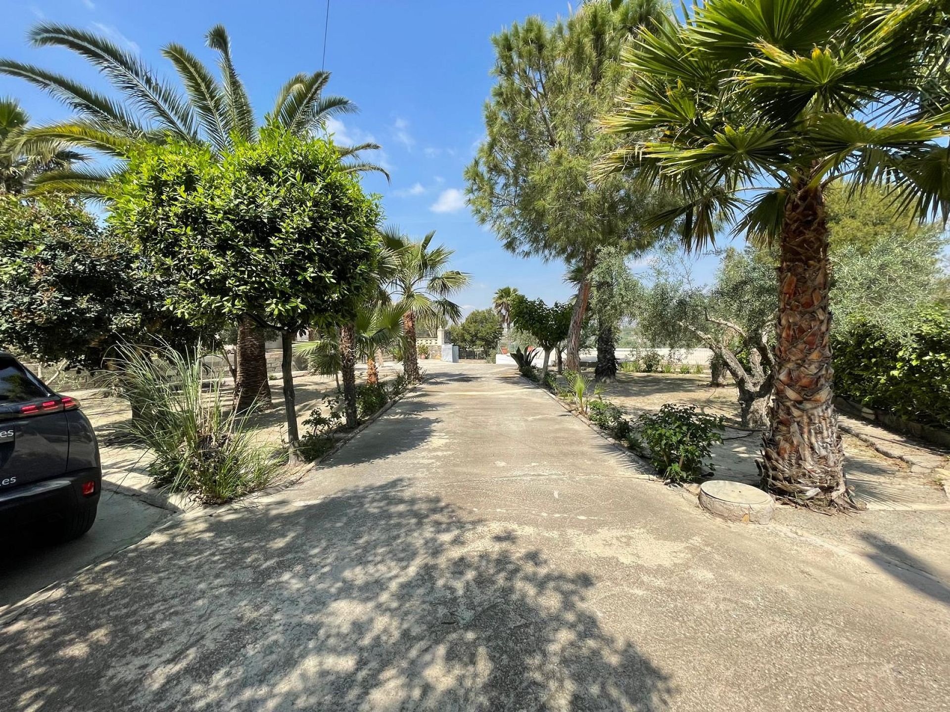 Villa a Alicante, Spagna 5 camere da letto, 130 mq. N° 168423