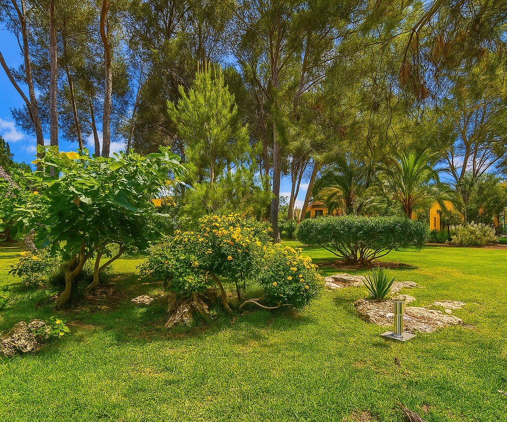 Lägenhet i Santa Ponsa, Mallorca, Spanien 2 sovrum, 100 kvm. Nr. 143533
