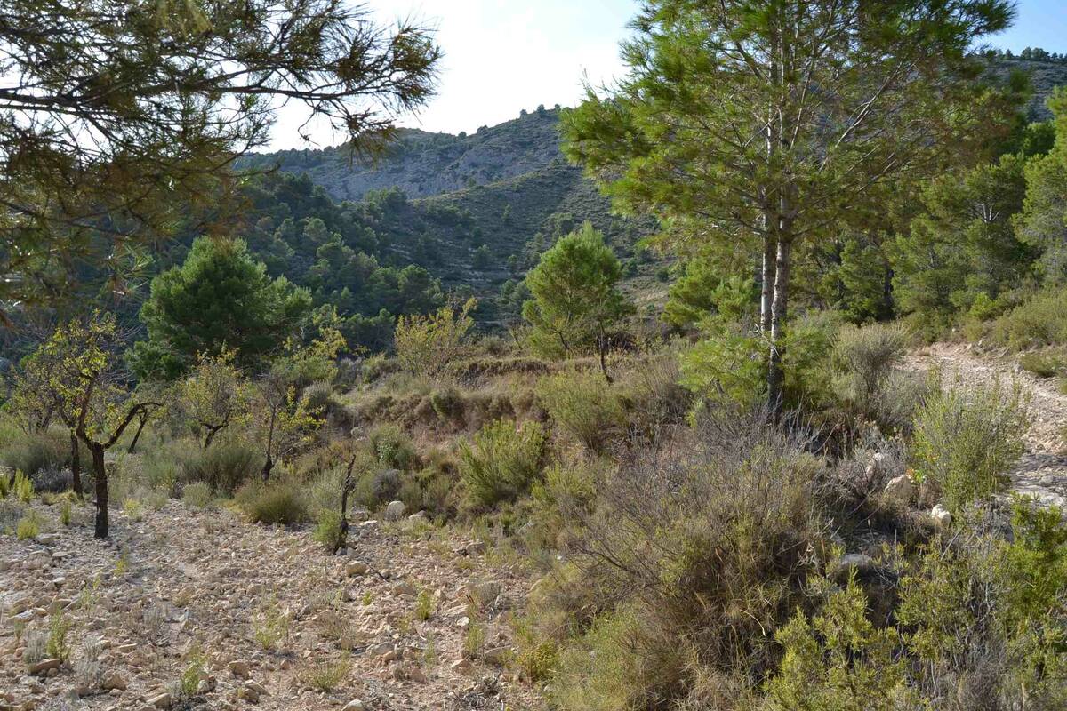 Zemes gabals Relleu, Alicante, Spānijā Nr. 192522