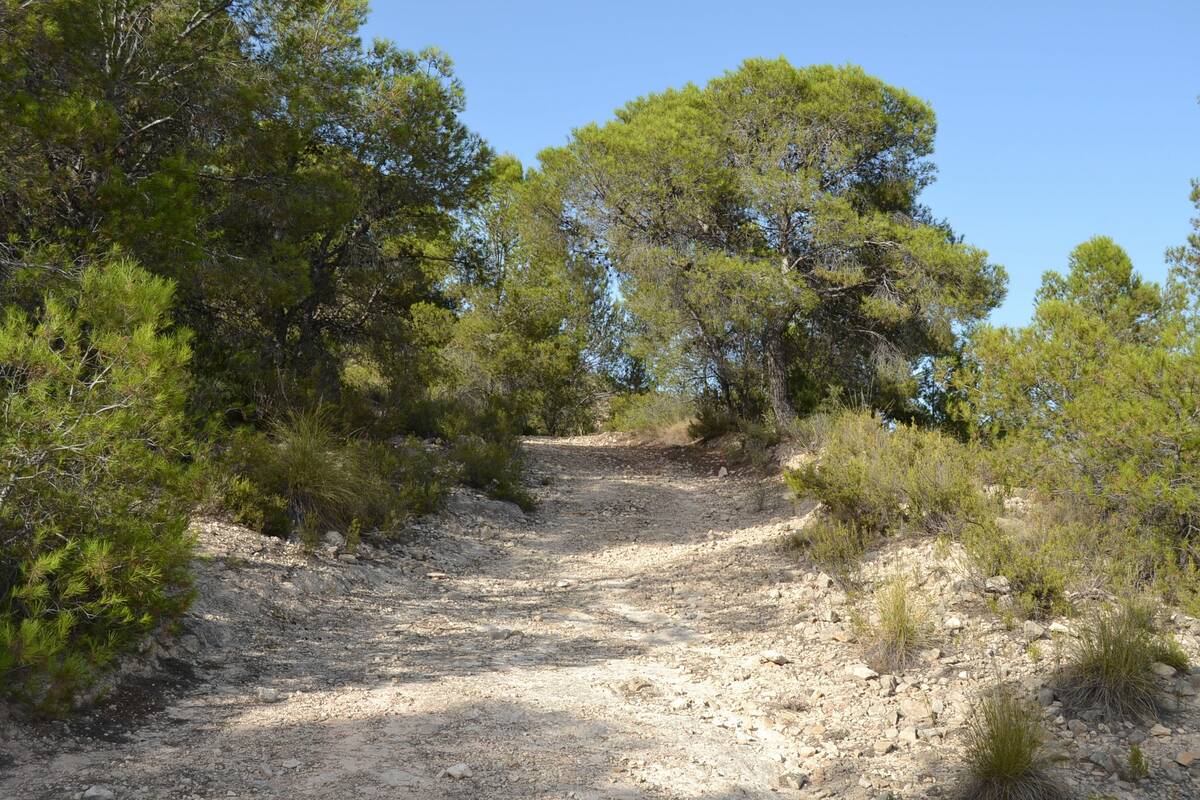 Zemes gabals Relleu, Alicante, Spānijā Nr. 192522