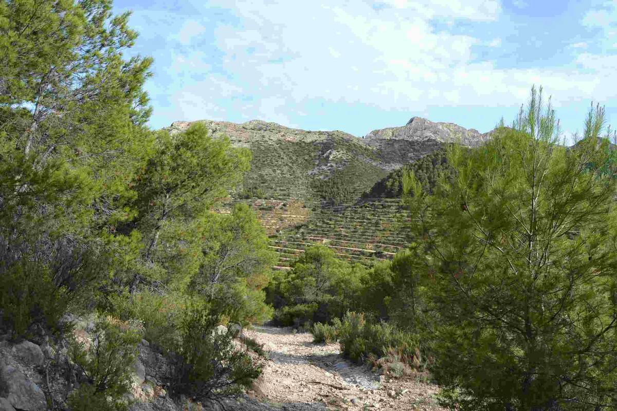 Zemes gabals Relleu, Alicante, Spānijā Nr. 192522