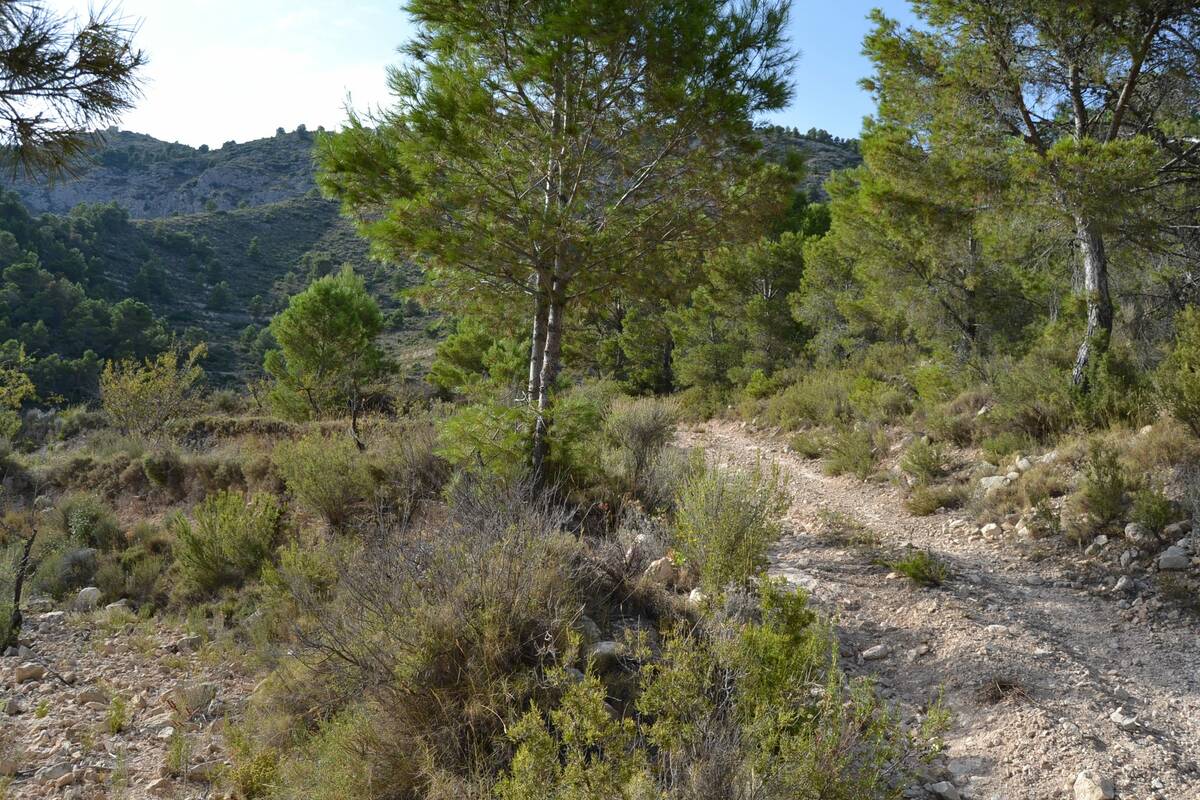 Zemes gabals Relleu, Alicante, Spānijā Nr. 192522