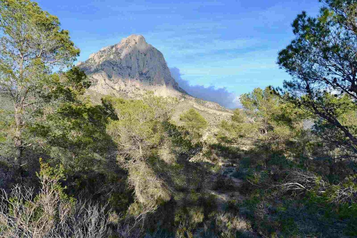 Terreno a Finestrat, Alicante, Spagna N° 192524
