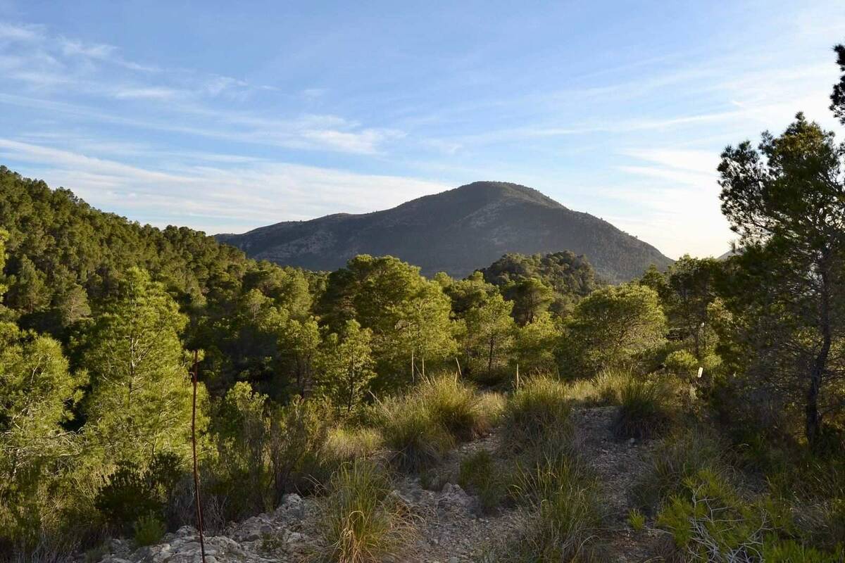 Terreno a Finestrat, Alicante, Spagna N° 192524