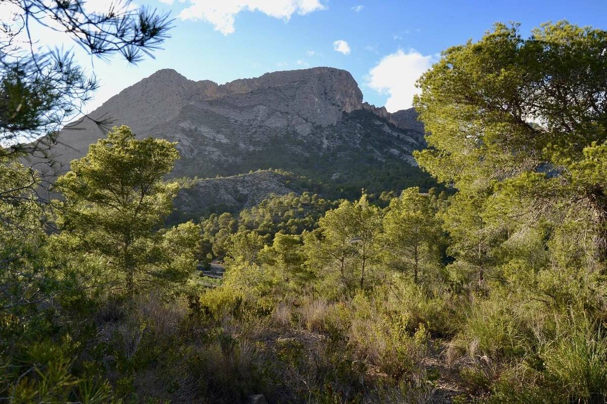 Terreno a Finestrat, Alicante, Spagna N° 192524