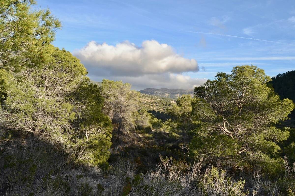 Terreno a Finestrat, Alicante, Spagna N° 192524
