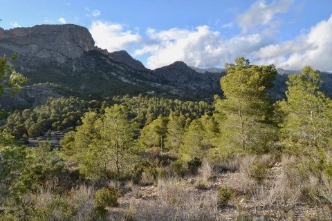 Land plot in Finestrat, Alicante, Spain No. 192524