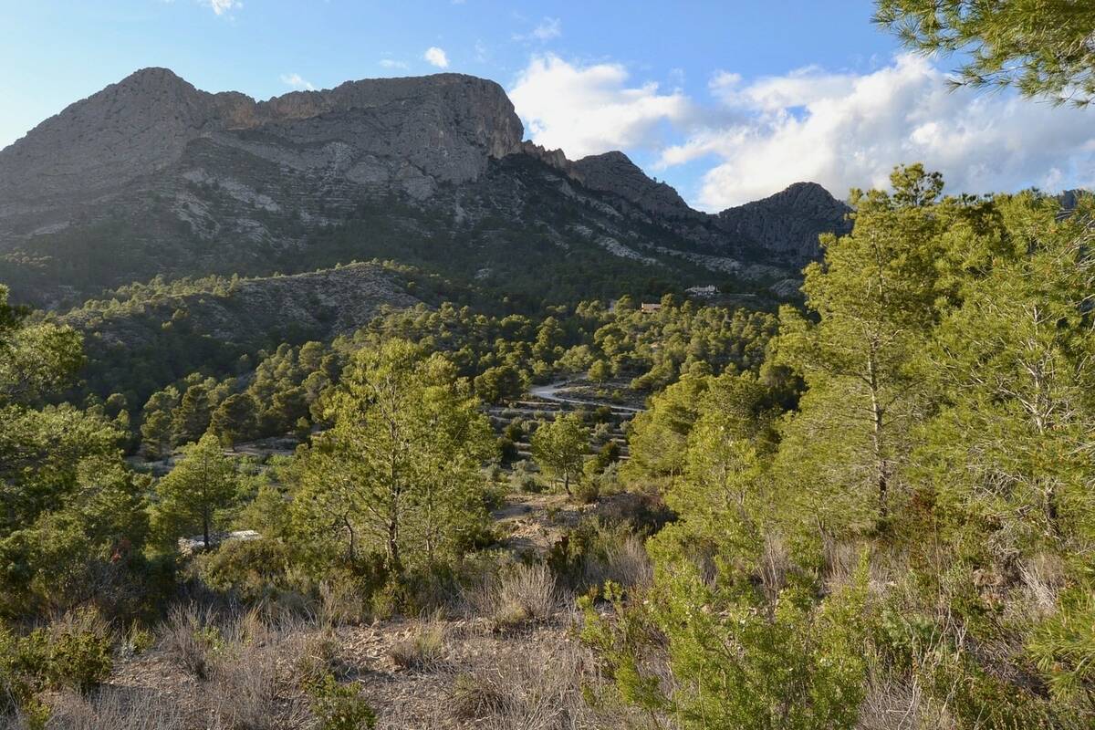 Terreno a Finestrat, Alicante, Spagna N° 192524