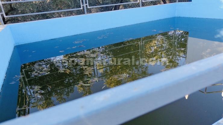 Villa in Baza, Granada, Spain 1 bedroom, 95 sq.m. No. 184016