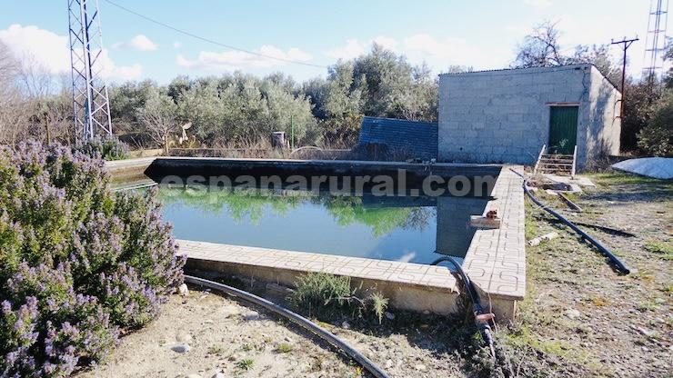 Сasa en Baza, Granada, España 4 dormitorios, 300 m2 No. 184014