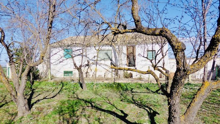 Сasa en Baza, Granada, España 4 dormitorios, 300 m2 No. 184014
