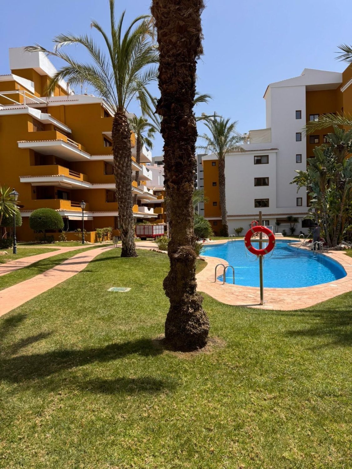 Apartment in Torrevieja, Alicante, Spain 80 sq.m. No. 181277