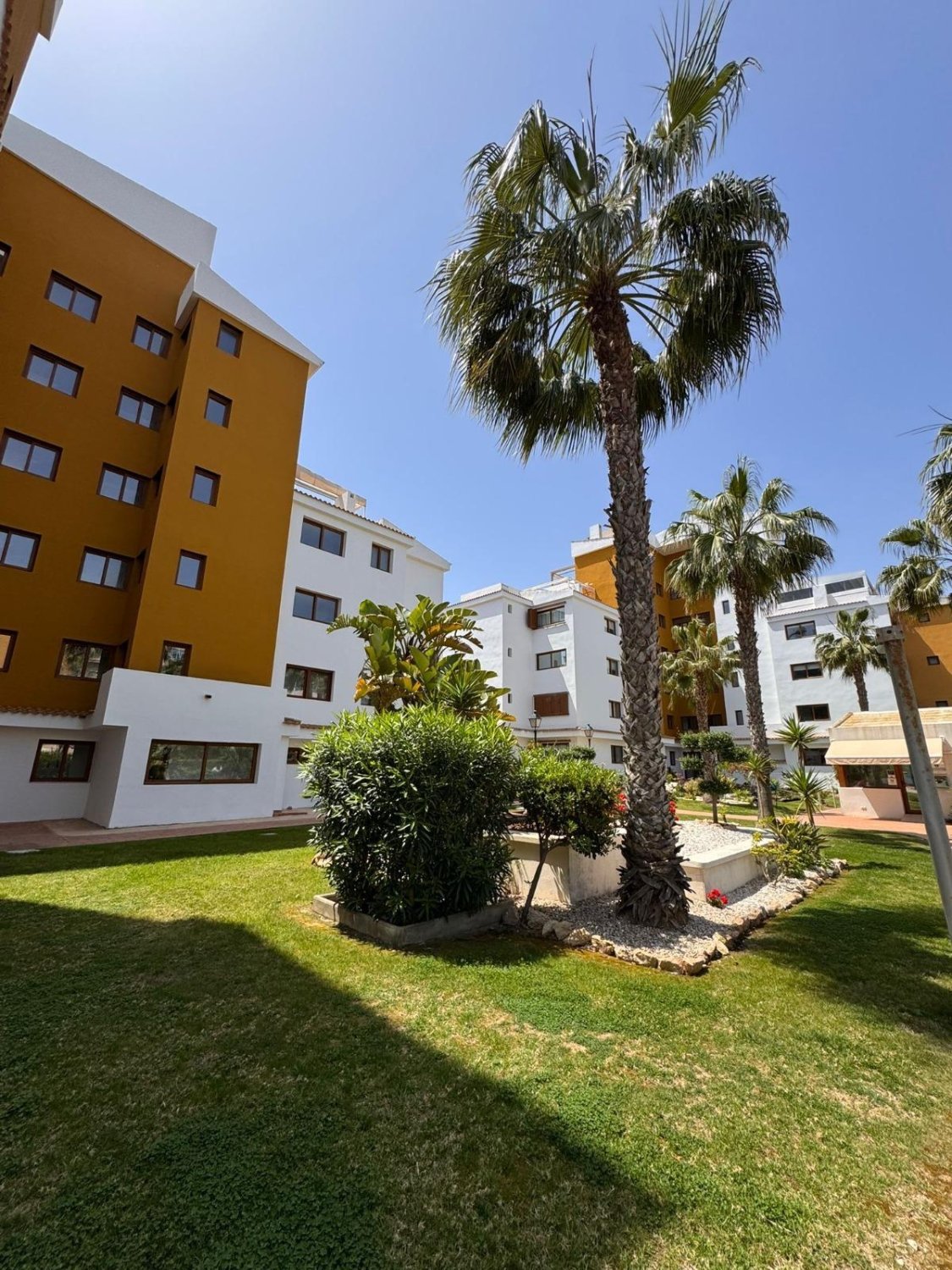Apartment in Torrevieja, Alicante, Spain 80 sq.m. No. 181277