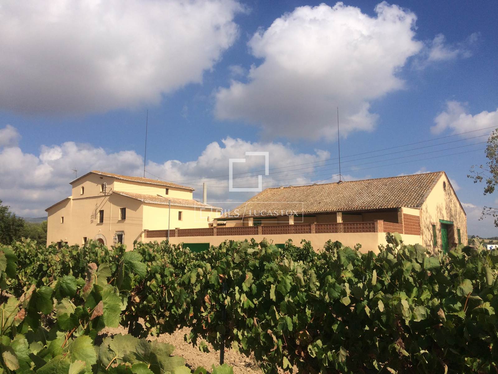 Finca in Sitges, Barcelona, Spain 12 bedrooms, 1314 sq.m. No. 192660