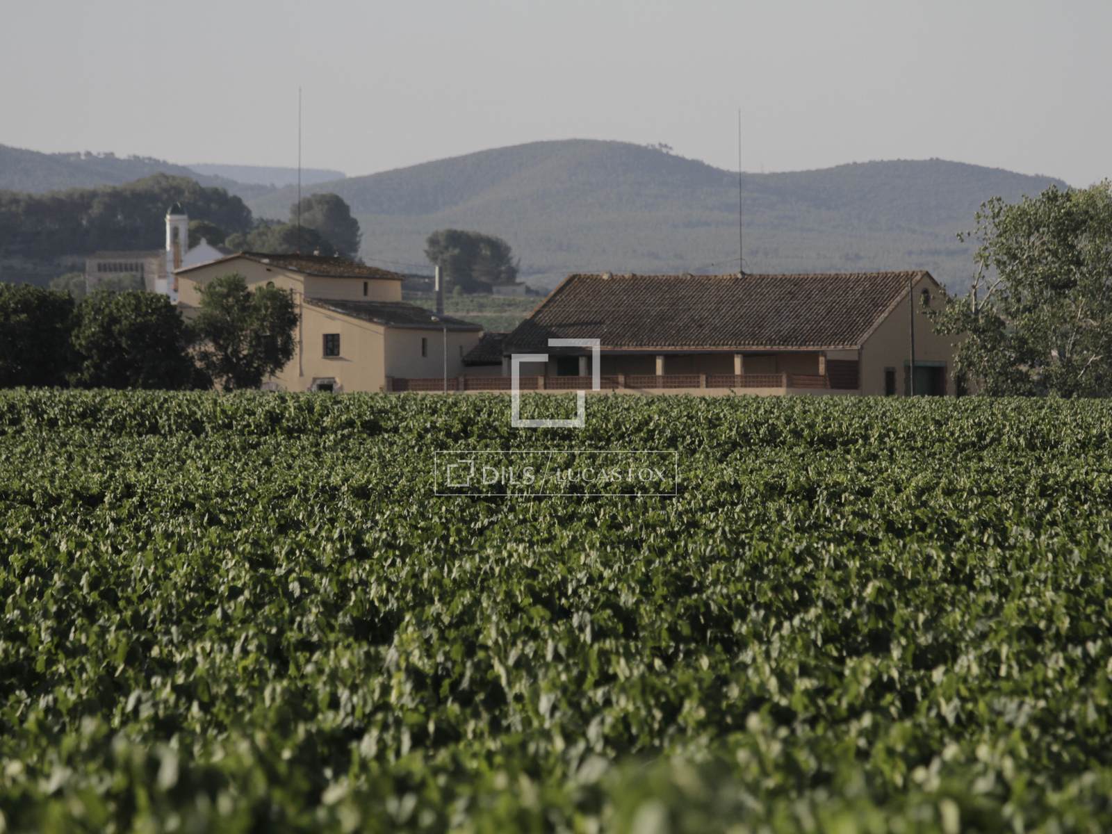 Finca in Sitges, Barcelona, Spain 12 bedrooms, 1314 sq.m. No. 192660