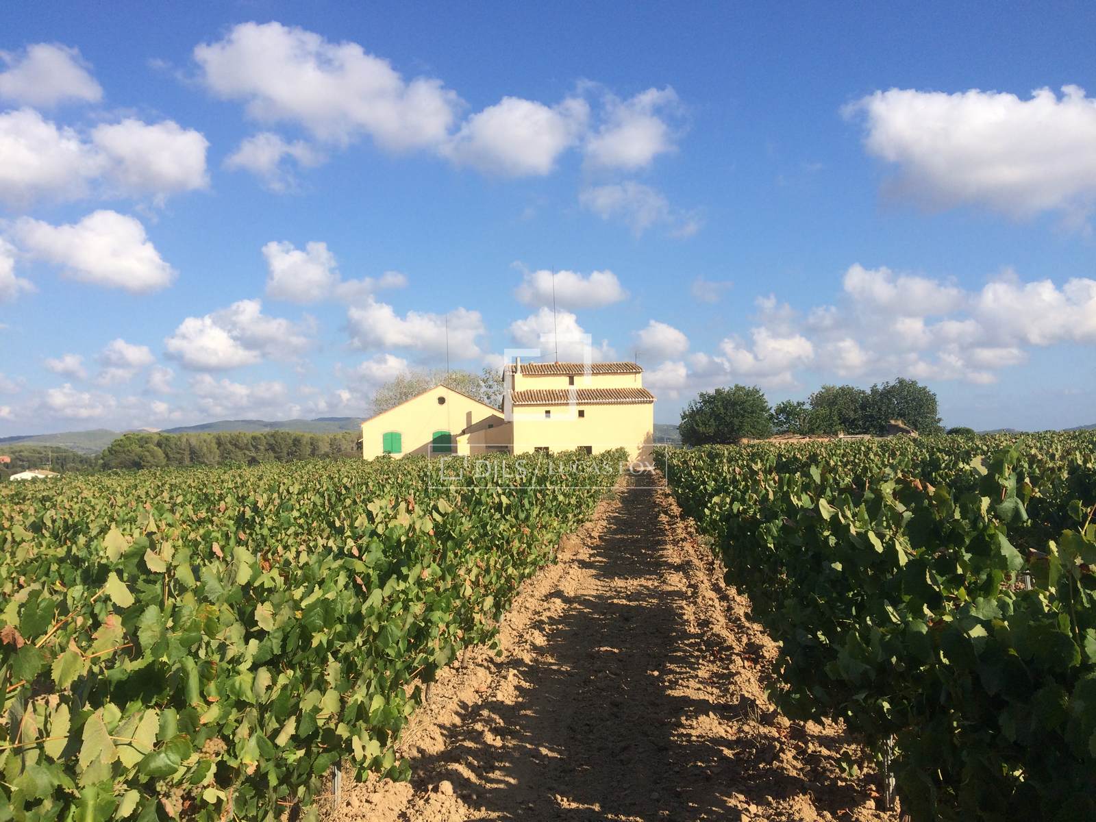 Finca in Sitges, Barcelona, Spain 12 bedrooms, 1314 sq.m. No. 192660