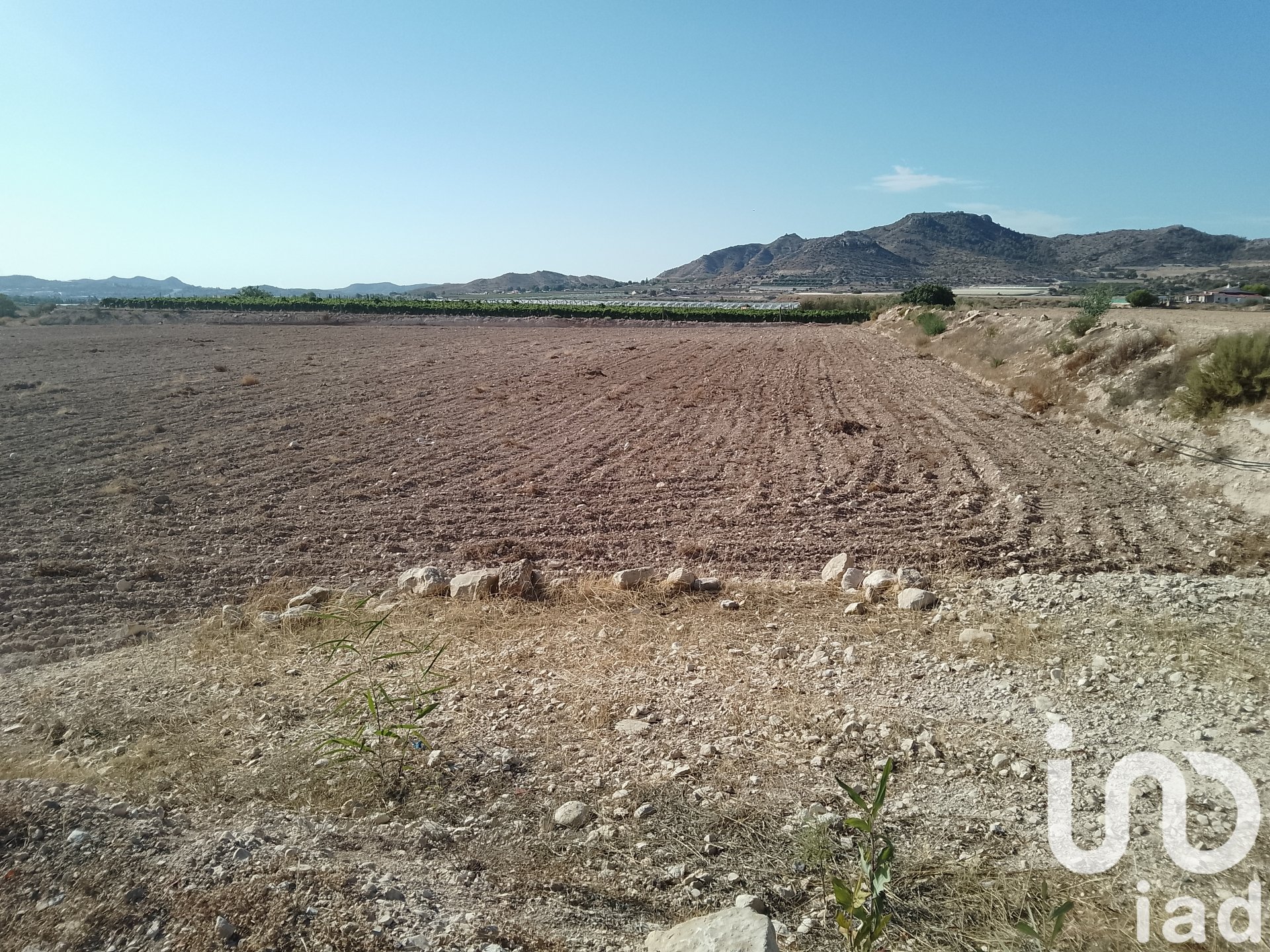 Land plot in Novelda, Alicante, Spain 120000 sq.m. No. 153056