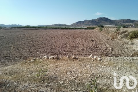 Land plot in Novelda, Alicante, Spain 120000 sq.m. No. 153056