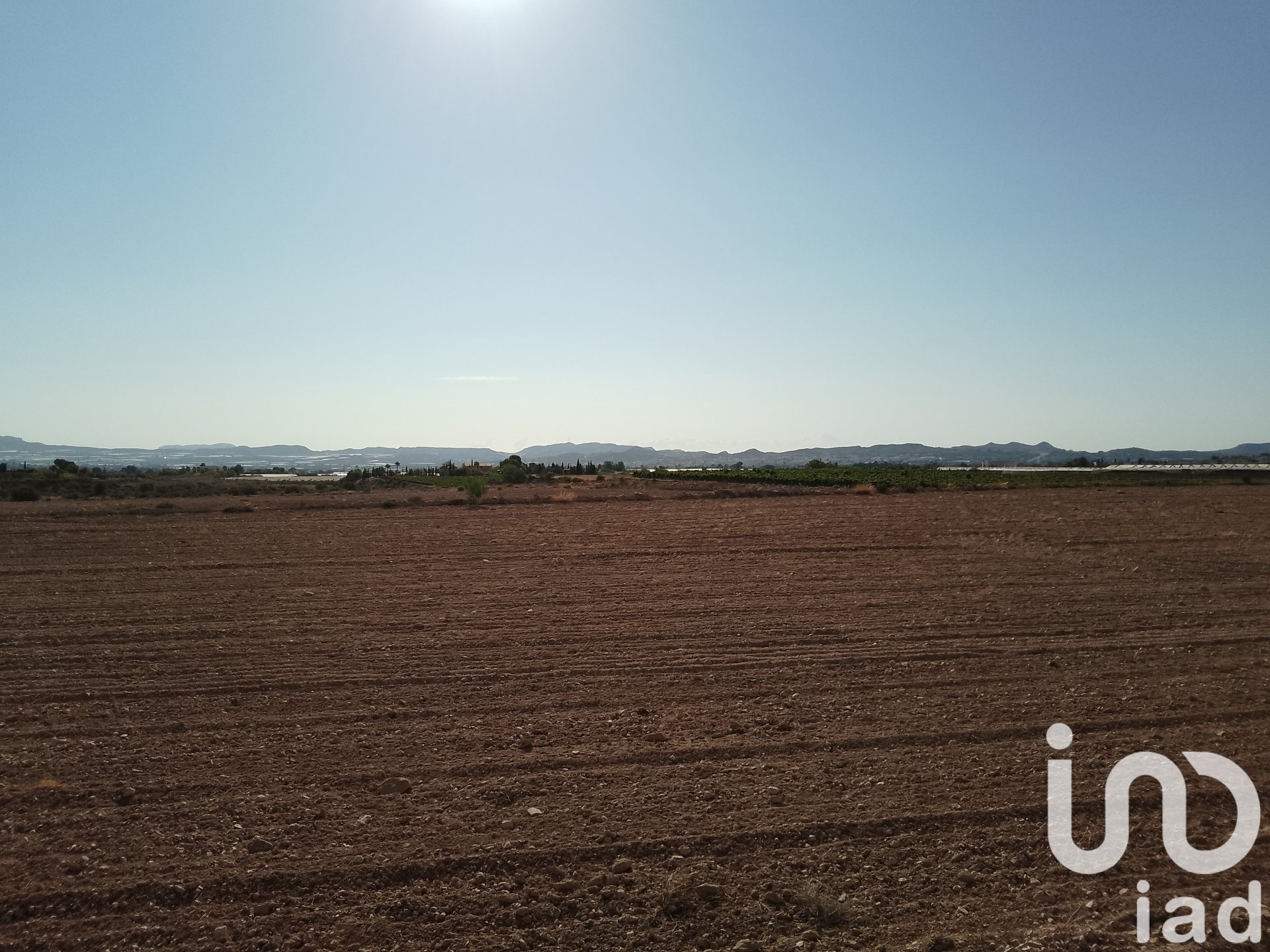 Land plot in Novelda, Alicante, Spain 120000 sq.m. No. 153056