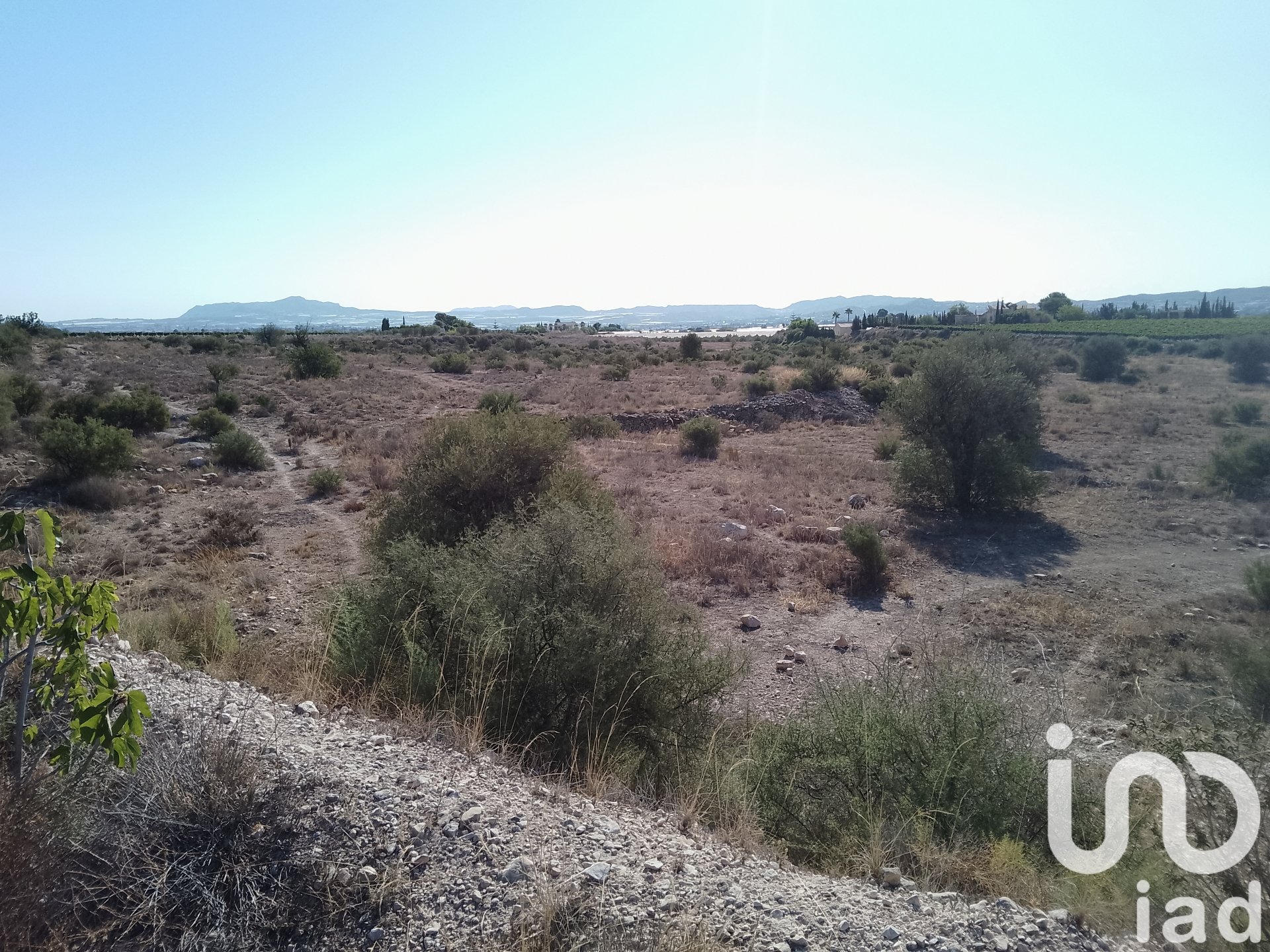 Land plot in Novelda, Alicante, Spain 120000 sq.m. No. 153056