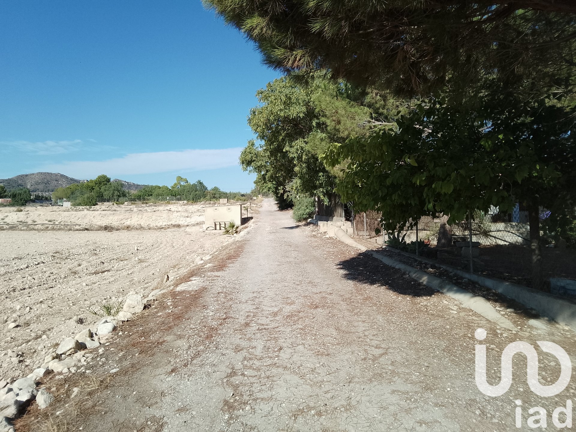 Land plot in Novelda, Alicante, Spain 120000 sq.m. No. 153056
