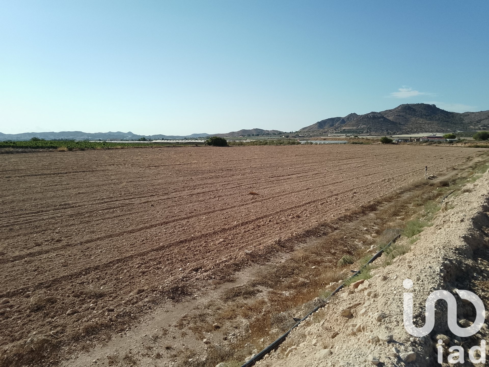 Land plot in Novelda, Alicante, Spain 120000 sq.m. No. 153056