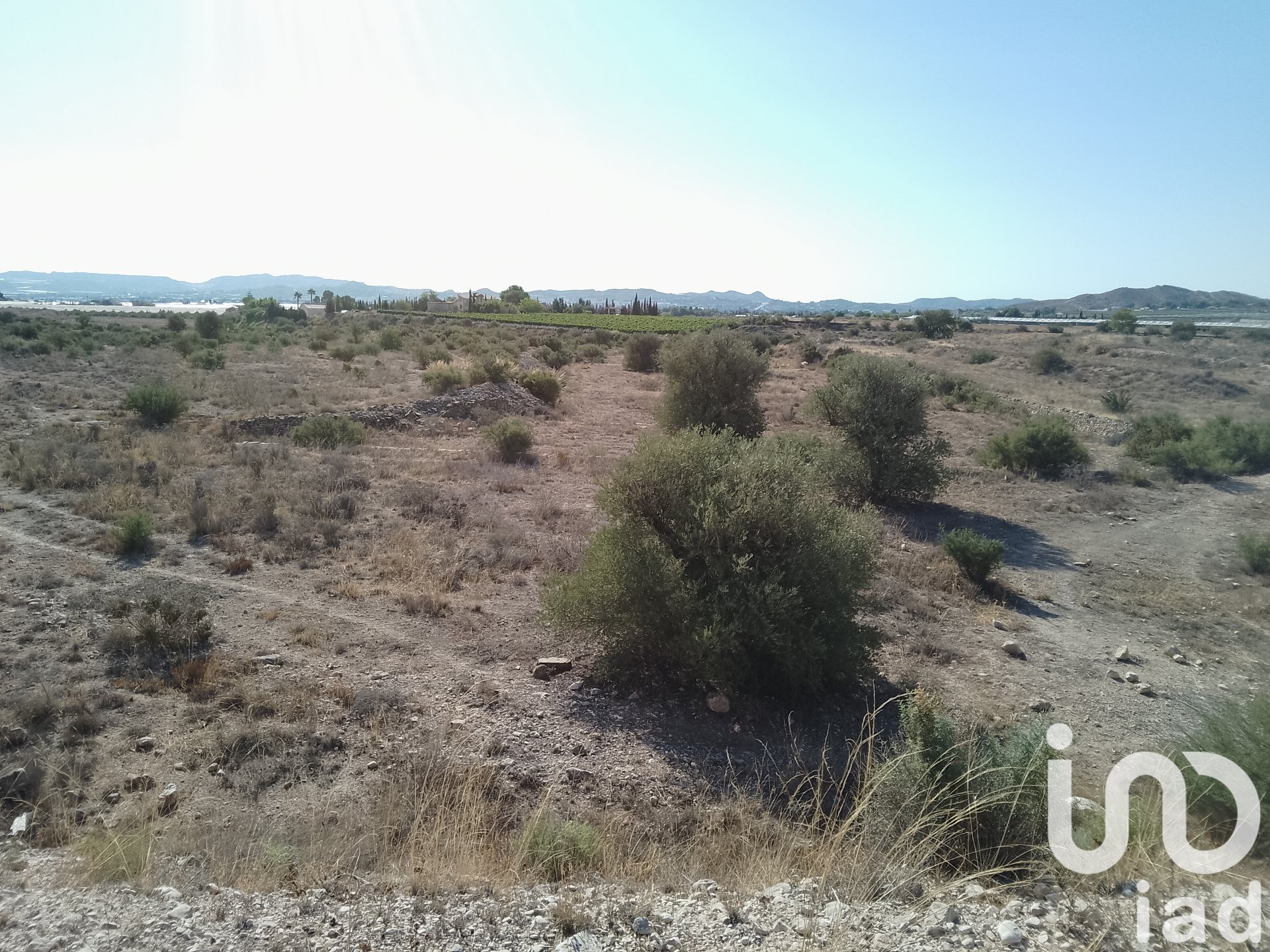 Land plot in Novelda, Alicante, Spain 120000 sq.m. No. 153056