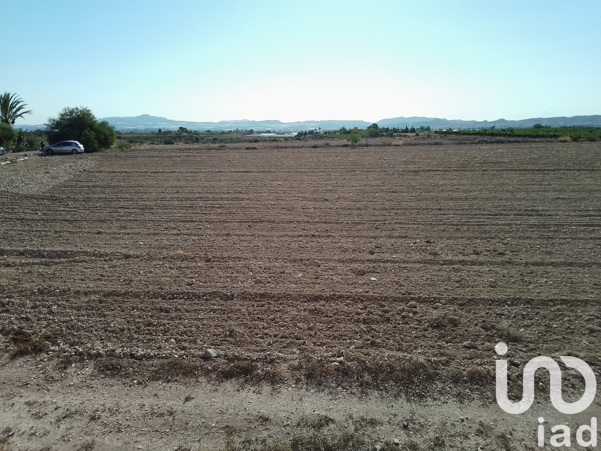 Land plot in Novelda, Alicante, Spain 120000 sq.m. No. 153056