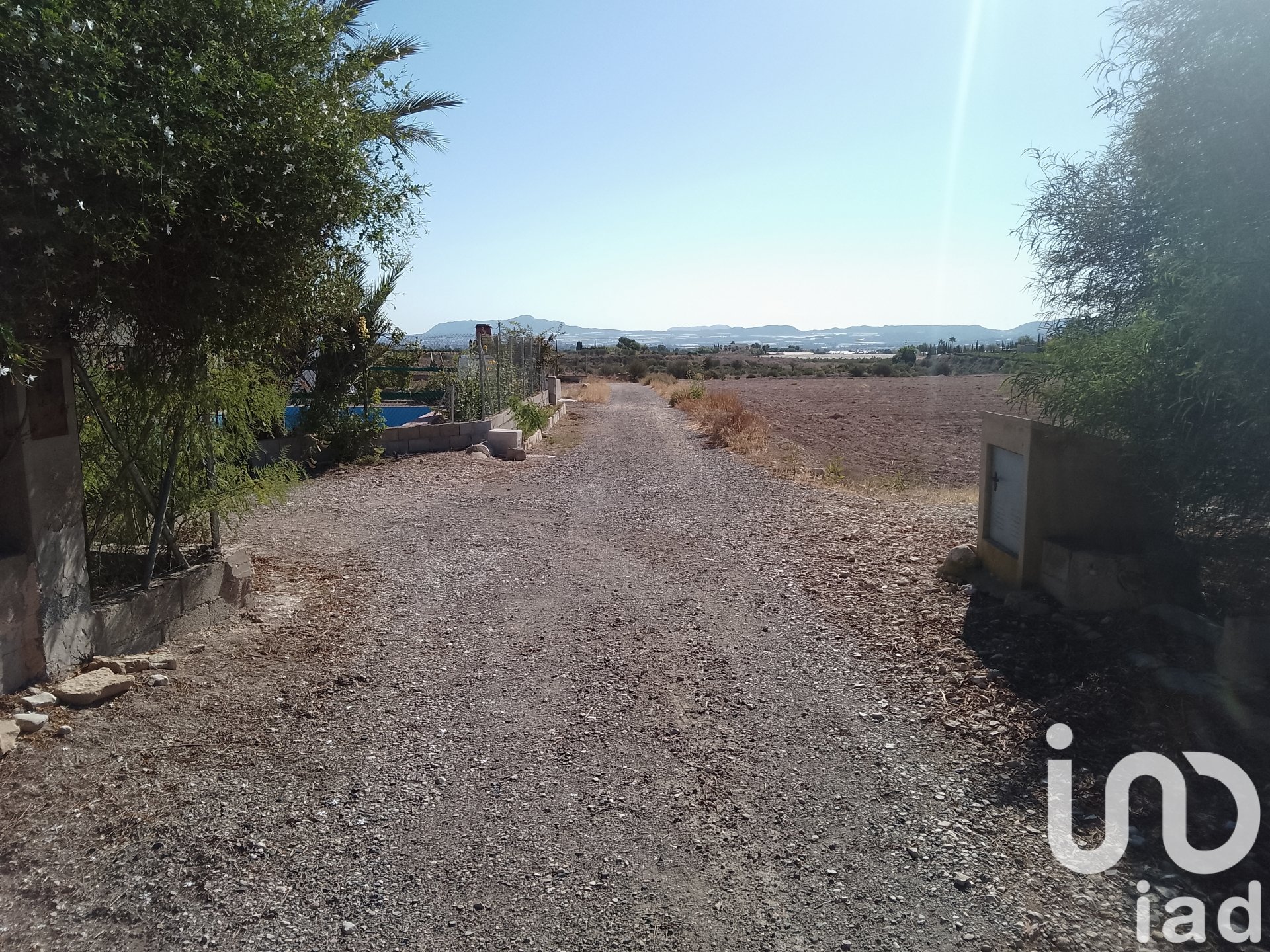 Land plot in Novelda, Alicante, Spain 120000 sq.m. No. 153056