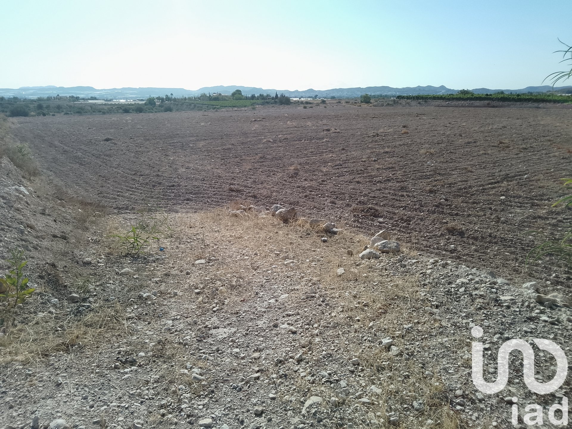 Land plot in Novelda, Alicante, Spain 120000 sq.m. No. 153056