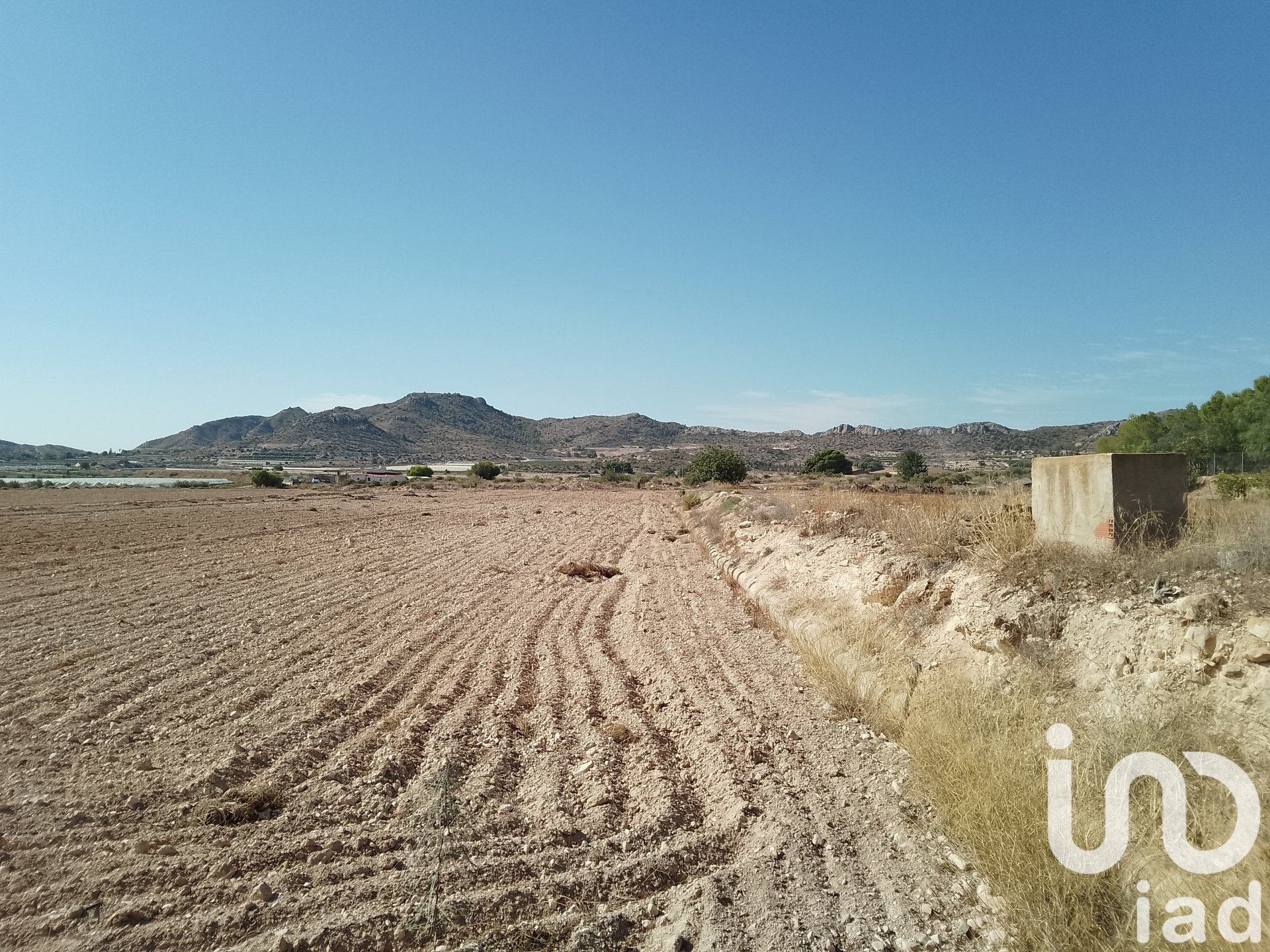Land plot in Novelda, Alicante, Spain 120000 sq.m. No. 153056