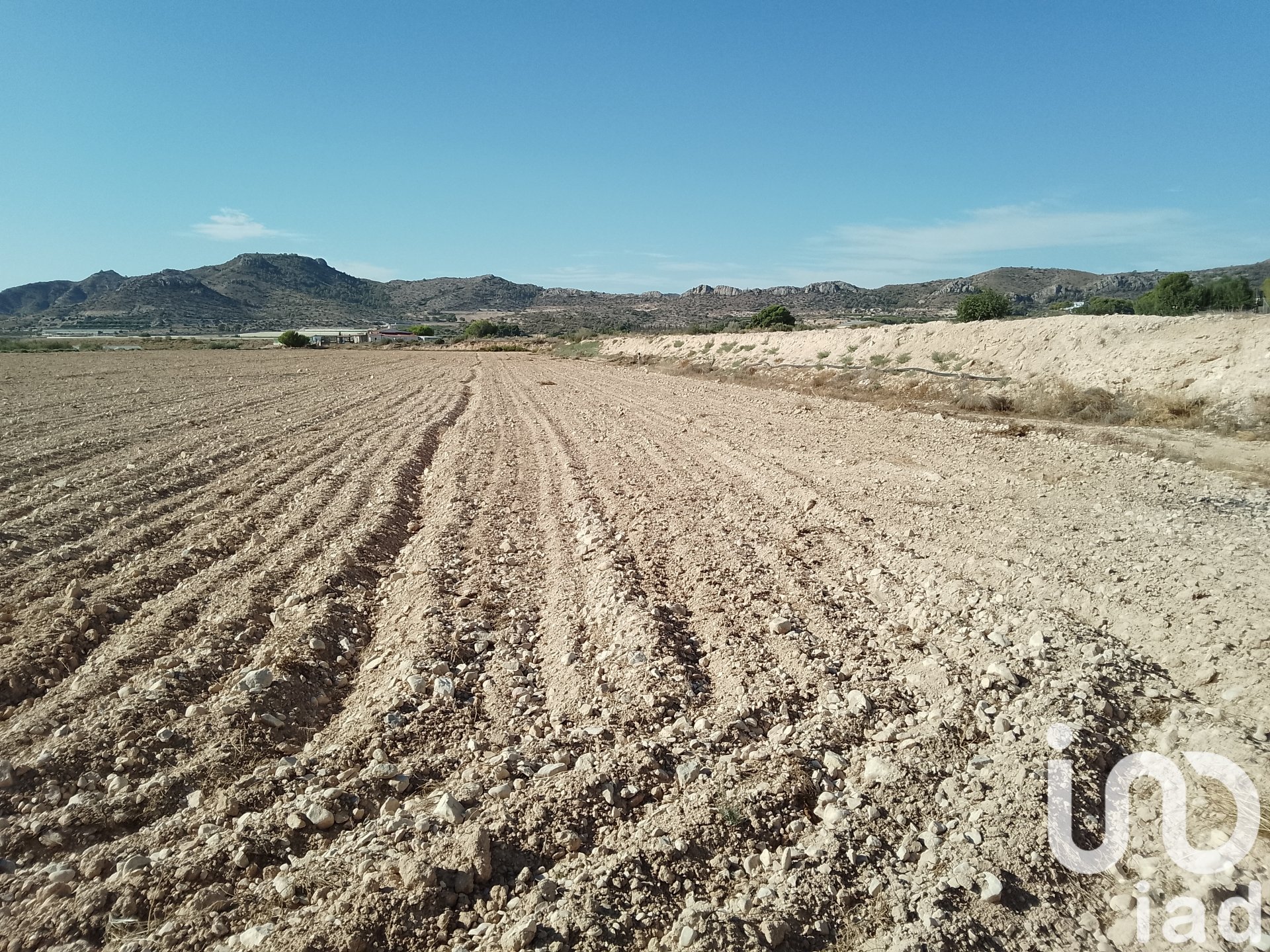 Land plot in Novelda, Alicante, Spain 120000 sq.m. No. 153056