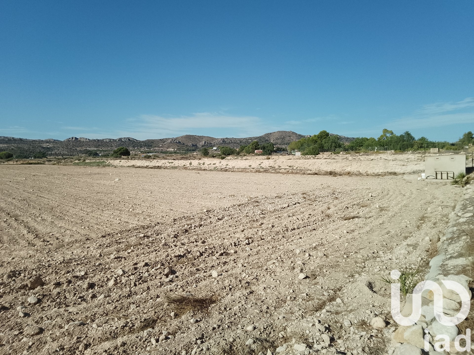 Land plot in Novelda, Alicante, Spain 120000 sq.m. No. 153056