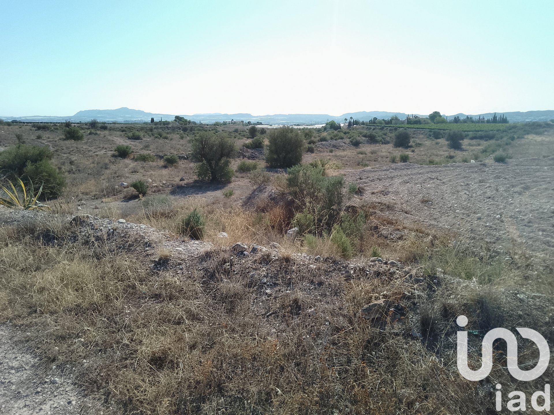 Land plot in Novelda, Alicante, Spain 120000 sq.m. No. 153056