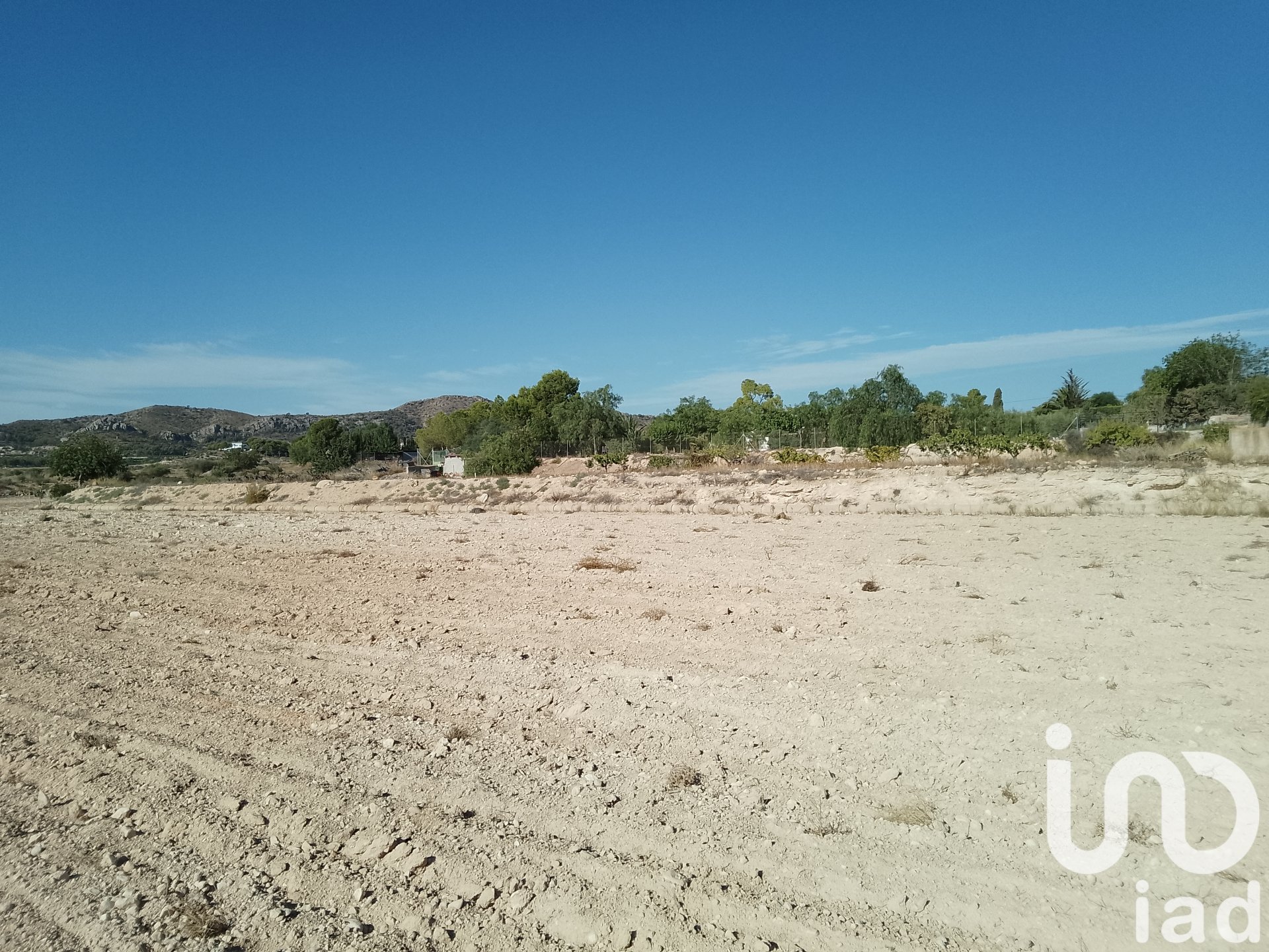 Land plot in Novelda, Alicante, Spain 120000 sq.m. No. 153056