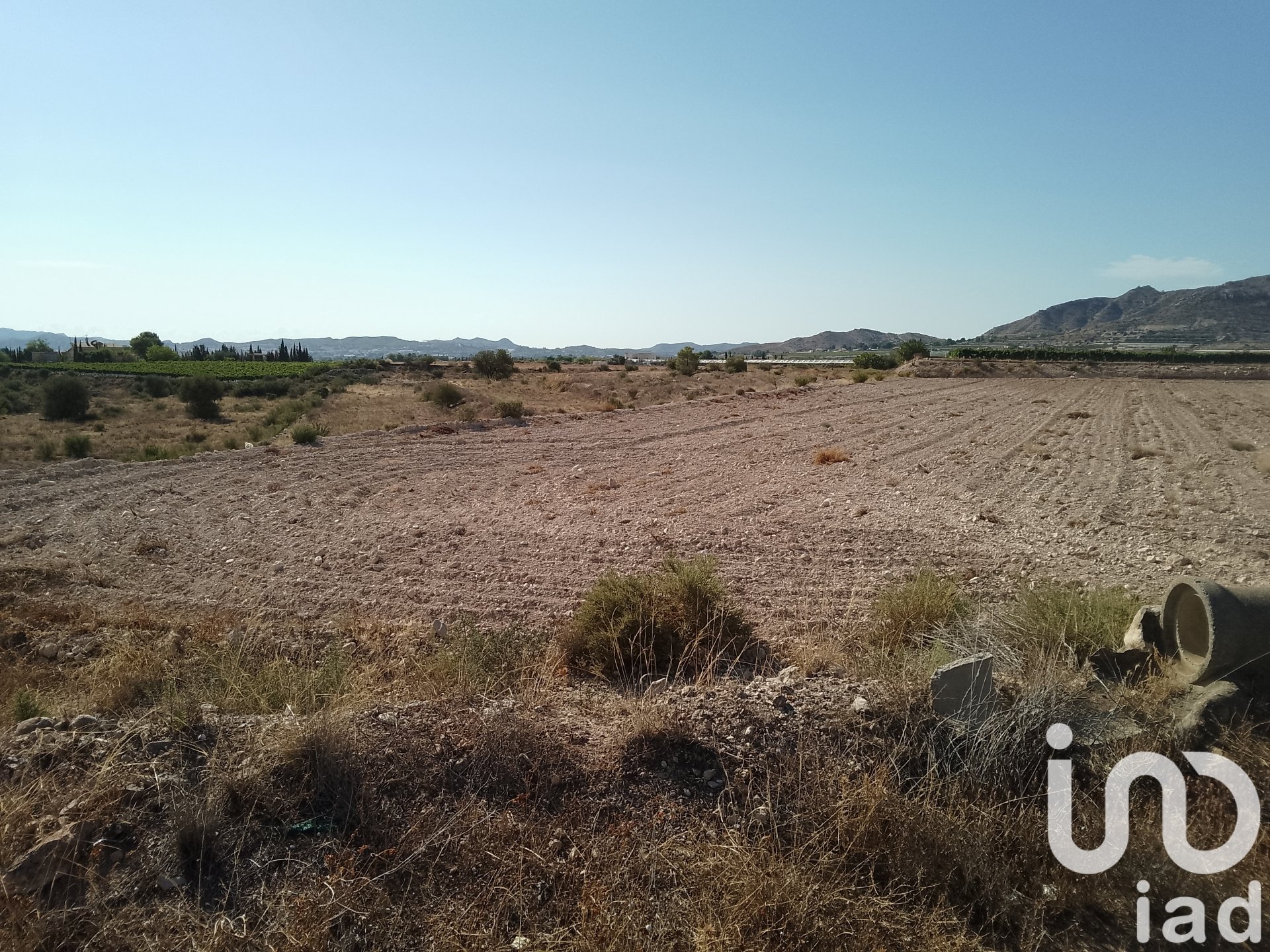 Land plot in Novelda, Alicante, Spain 120000 sq.m. No. 153056