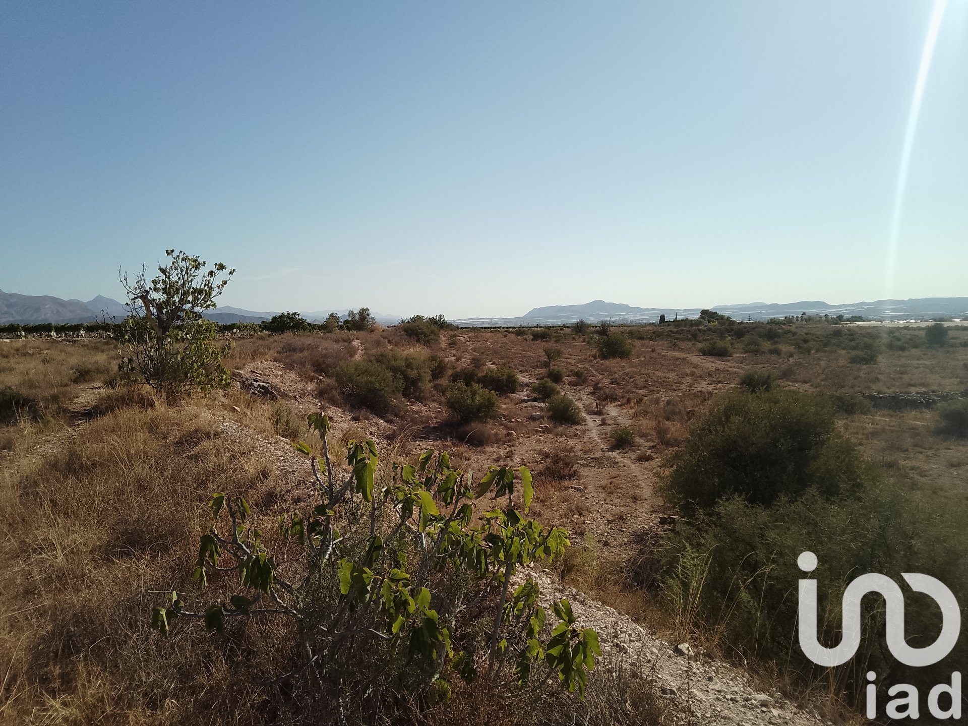 Land plot in Novelda, Alicante, Spain 120000 sq.m. No. 153056