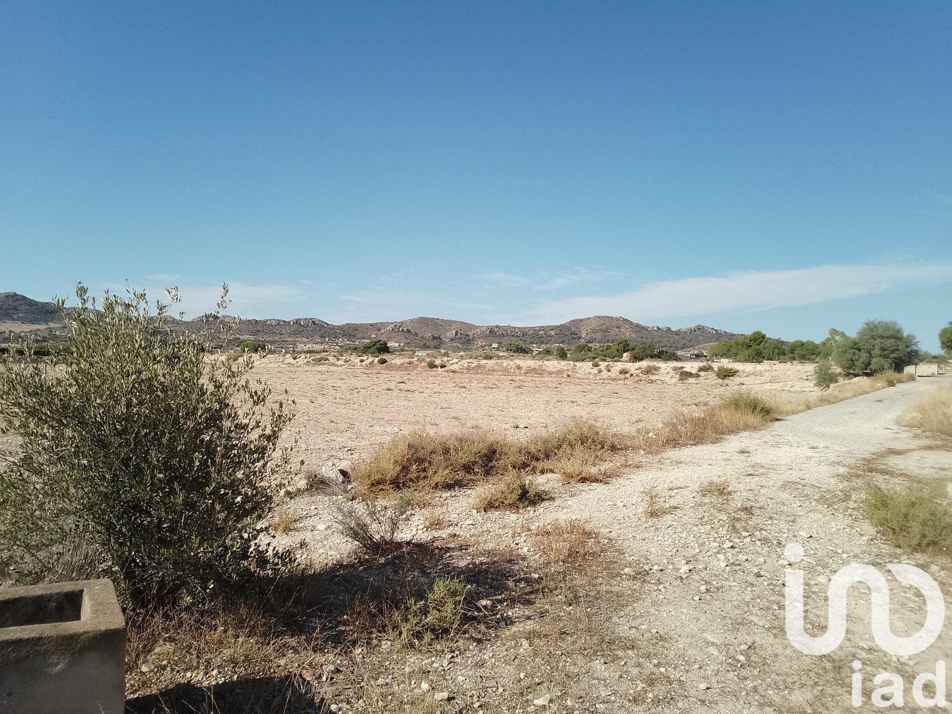 Land plot in Novelda, Alicante, Spain 120000 sq.m. No. 153056