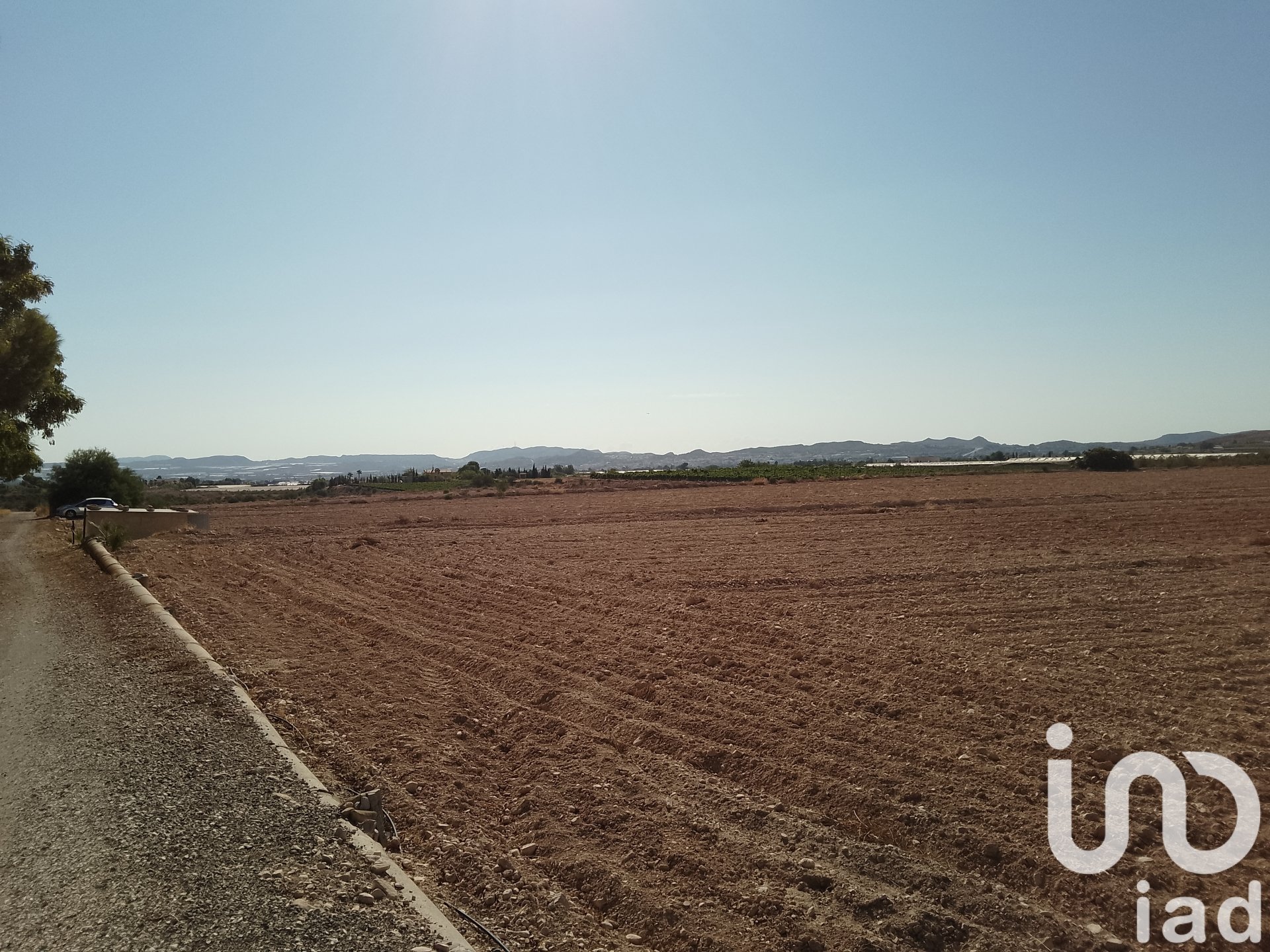 Land plot in Novelda, Alicante, Spain 120000 sq.m. No. 153056